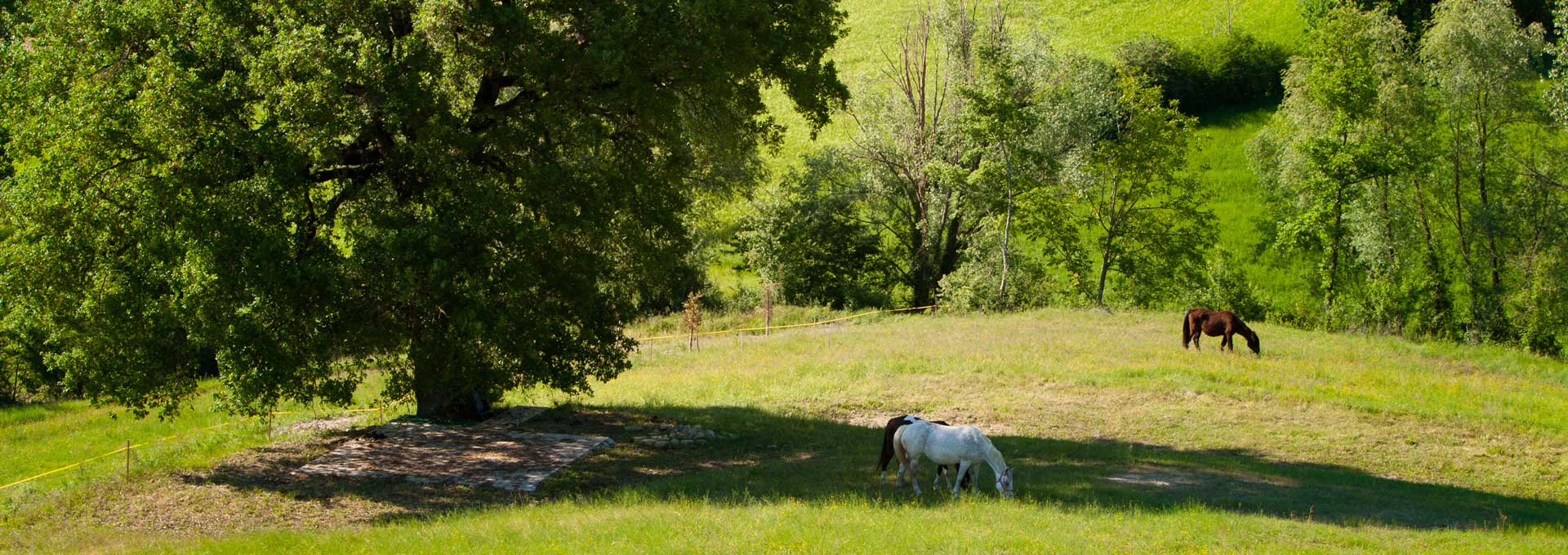 Vado a vivere in campagna